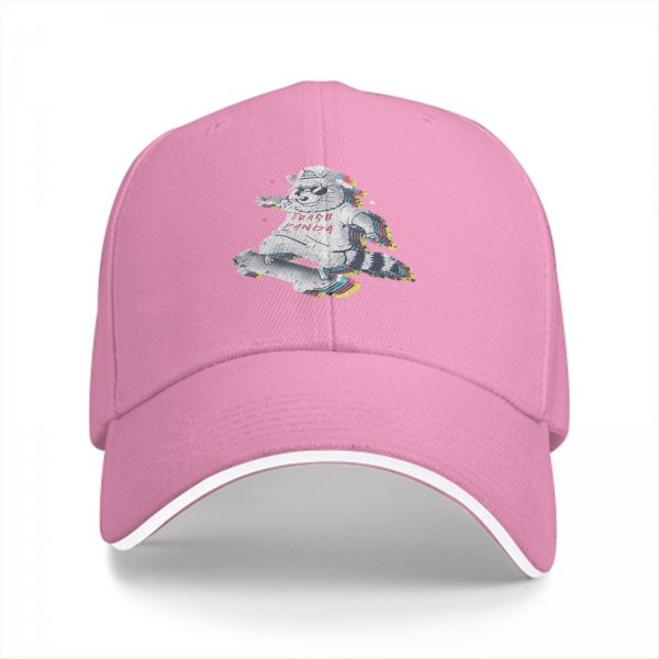 Black Baseball Cap With Skateboarding Raccoon Trash Panda Graphic