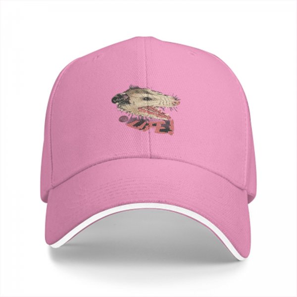 Black baseball cap with hissing opossum and LIFE! graphic