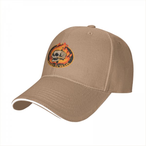 Black baseball cap with roast in peace skull and fire graphic