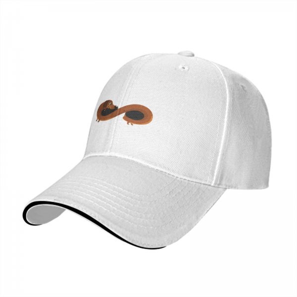 Black Baseball Cap With Dachshund Infinity Design
