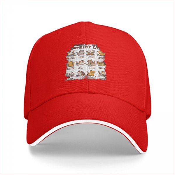 Black Baseball Cap With Domestic Cat Behavior Illustrations