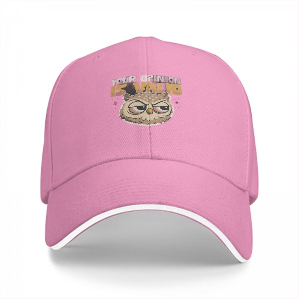Black Baseball Cap With 'Your Opinion Is Valid' Grumpy Owl Print
