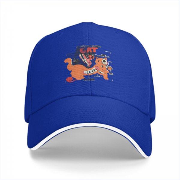 Black Baseball Cap With Funny Anatomy Of The Cat Graphic