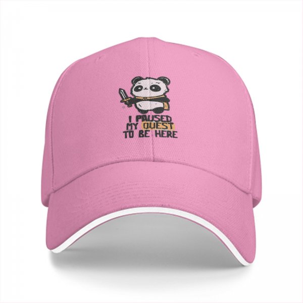 Black baseball cap with panda warrior 'I paused my quest to be here' print