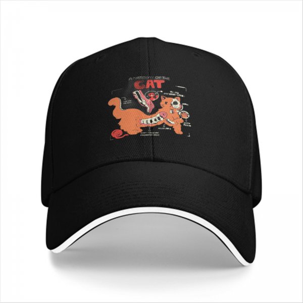 Black Baseball Cap With Funny Anatomy Of The Cat Graphic