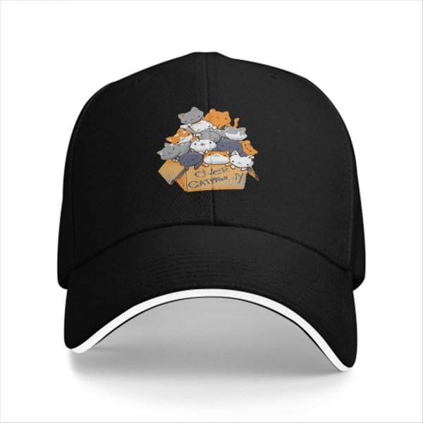 Black baseball cap with cute cats in a box graphic