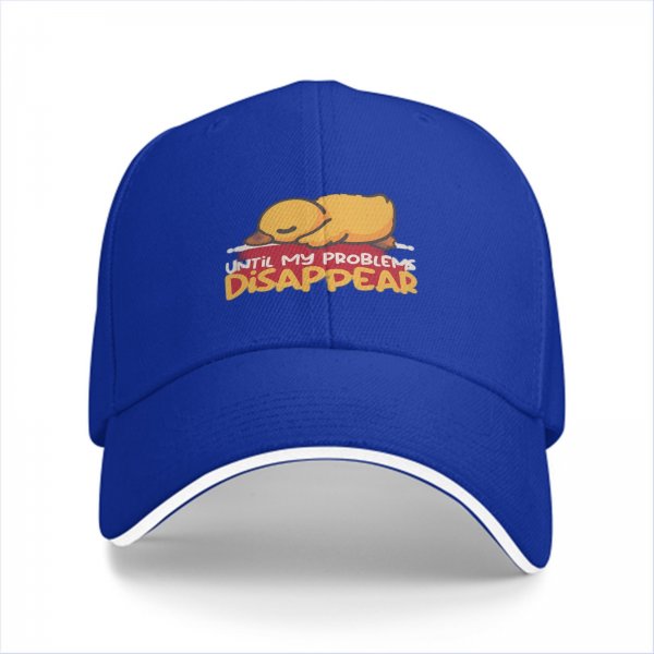 Black baseball cap with sleeping duck graphic and 'Until My Problems Disappear' text