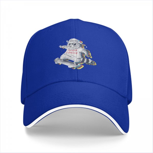 Black Baseball Cap With Skateboarding Raccoon Trash Panda Graphic
