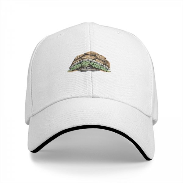 Black Baseball Cap With Hiding Turtle Graphic Design