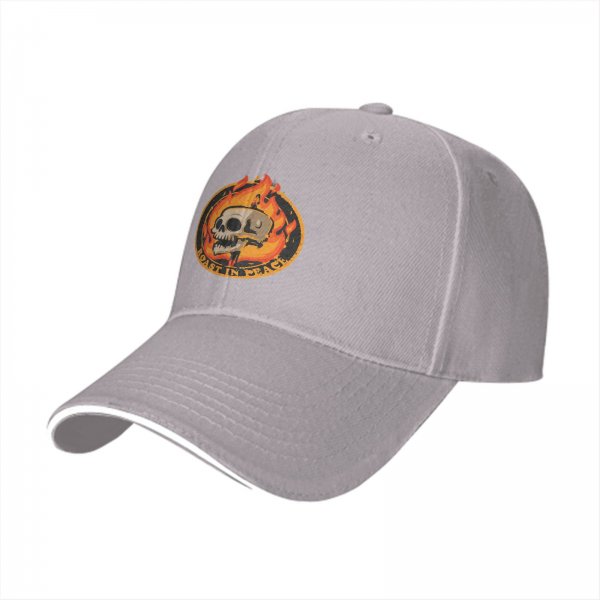 Black baseball cap with roast in peace skull and fire graphic